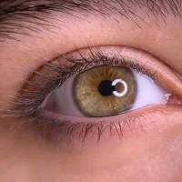 کراتین و احیا ،اکستنشن مو ،لیفت مژه و ابرو|خدمات آرایشگری و زیبایی|اردبیل, |دیوار