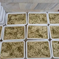 دستگاه تولید حلوا شکری