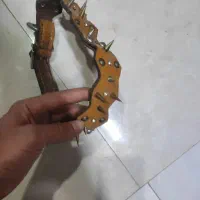 قلاده سگ سفارشی چرم