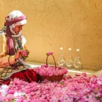 تور یک‌ روزه کاشان سفری با رایحه و عطر ناب بهاری