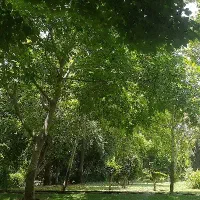 زمین-دو-بر-در-امام-زاده-عبدالله