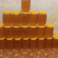 عسل کوهستان دالانکوه  طبیعی