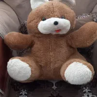 عروسک خرسی تقریبا بزرگ