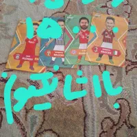 قیمت ها ثابته پ