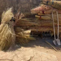 جارو