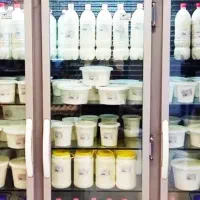 استخدام کارگر خانم در لبنیات سنتی