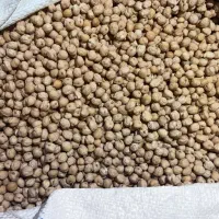 نخود ابگوشتی