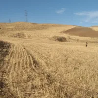 زمین زراعی|فروش دفتر صنعتی، کشاورزی، تجاری|ایجرود, |دیوار