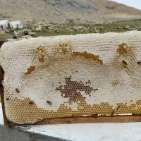 عسل کوهستانی ییلاقات دره بنار مرگور|خوردنی و آشامیدنی|سیلوانه, |دیوار