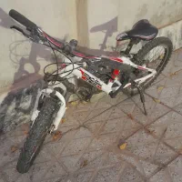 دوچرخه ۲۰حرفه ای برند فلش|دوچرخه، اسکیت، اسکوتر|تربت‌حیدریه, بوستان باغ ملی|دیوار