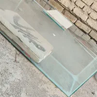 آکواریوم بزرگ