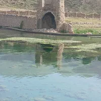 طبیعت گردی