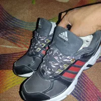 اکومنت اورجینال سایز ۴۱