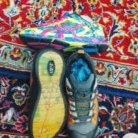 کتانی|کیف، کفش، کمربند|کیاشهر, |دیوار