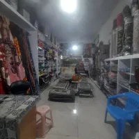 انواع پادری|پادری|بیرجند, |دیوار