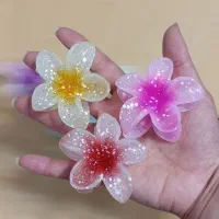 پخش عمده اکسسوری وارداتی