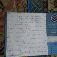 واگذاری گربه بی پناه|گربه|فردیس, طالقانی|دیوار