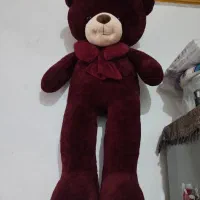 خرس 1.5 متری