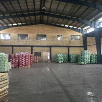 اجاره کارخانه ۵۰۰۰ م برق ۴۰۰ دو حلقه چاه کد ۴۰۹۹|اجارهٔ دفتر صنعتی، کشاورزی، تجاری|زاویه, |دیوار