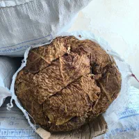 کاهو|خدمات باغبانی و درختکاری|کاکی, |دیوار