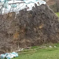 علوفه فروشی|عمده‌فروشی|اردبیل, |دیوار