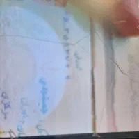 کیف مدارک شناسایی