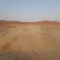 کاه گندم درجه یک