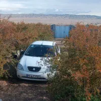 باغ-انار-ساوه-سید-قلی-پنج-کیلومتری-ساوه