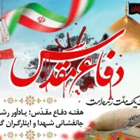 شناسنامه  پیدا شده