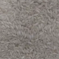 برنج و چلتک چمپای شهر میداوود|عمده‌فروشی|باغ ملک, |دیوار