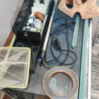 آکواریوم و لوازم