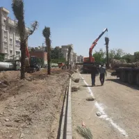 کی فکرشو می کرد نخل|خدمات باغبانی و درختکاری|ماسوله, |دیوار