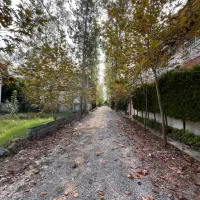 زمـین-200-متری-جنگلی-شهرک-باصفا-اقساط-12-ماهه