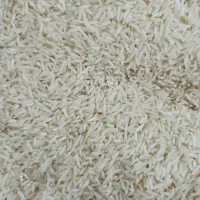 برنج تازه آسیاب شده امسال طارم فجر|خوردنی و آشامیدنی|ایلام, |دیوار