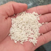 برنج معطر درجه یک دورود