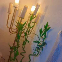 لوستر|لوستر و چراغ آویز|تهران, تهرانپارس غربی|دیوار