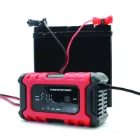 شارژر هوشمند باطری،باتری سواری کامیون ۱۲-۲۴ ولت