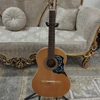 گیتار پارسی m5