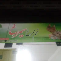 پخش تخم مرغ