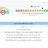 ضامن میشم