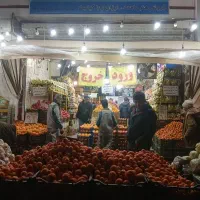 استخدام نیرو خانم