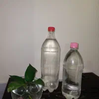 گلاب