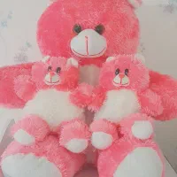 خرس بزرگ|اسباب‌بازی بچه|مهاباد (آذربایجان غربی), |دیوار