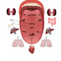 مشاوره رایگان