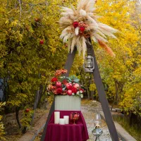 عکاسی تخصصی|خدمات پذیرایی، مراسم|شیراز, بعثت|دیوار