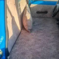 نیسان زامیاد|خودرو سواری و وانت|اهواز, کوی مهدیس|دیوار