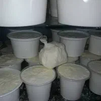 بخش لبنیات سنتی حمیدی