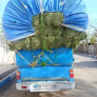 یونجه کاه ذرت