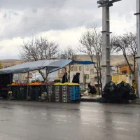 کارگر ساده برای کار در میوه فروشی