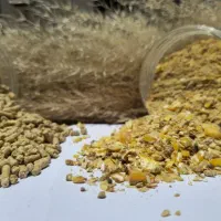 خوراک دان مرغ تخمگذار|خوردنی و آشامیدنی|تهران, آسمان|دیوار